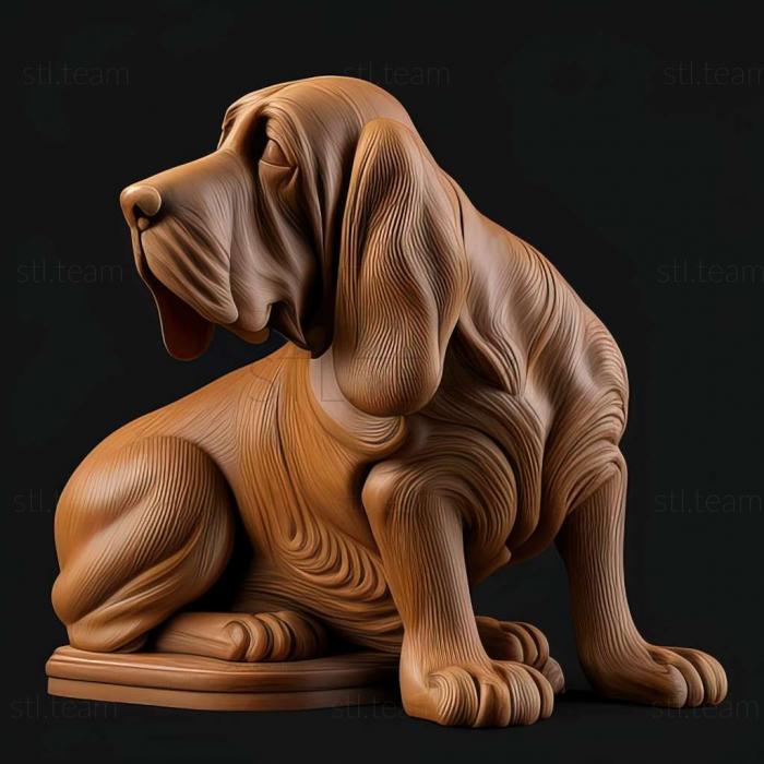 Animals Bloodhound dog